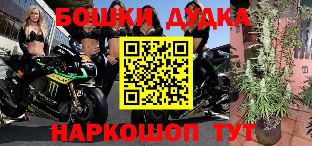 МЕТАДОН Кириши